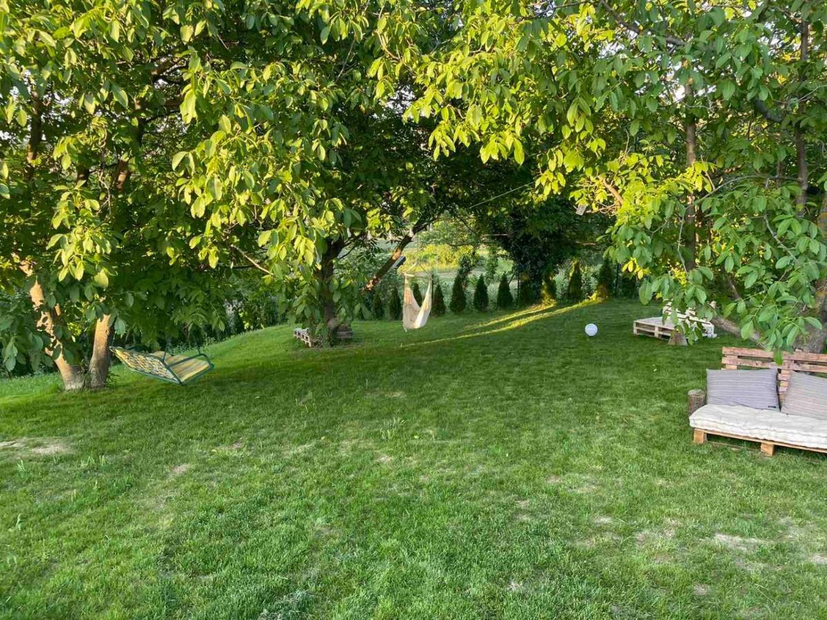 فيلا Todor Boutique House Sremska Kamenica المظهر الخارجي الصورة