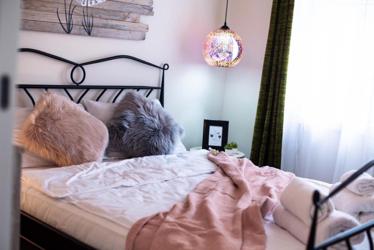 فيلا Todor Boutique House Sremska Kamenica المظهر الخارجي الصورة