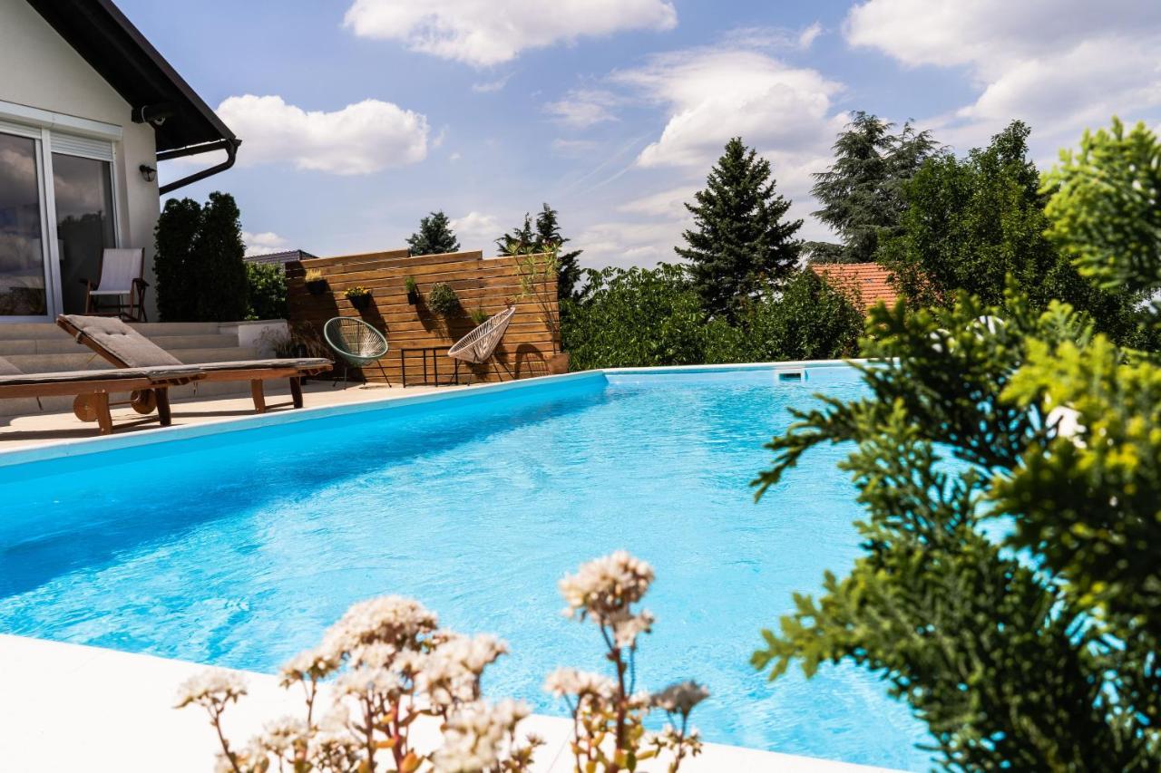 فيلا Todor Boutique House Sremska Kamenica المظهر الخارجي الصورة